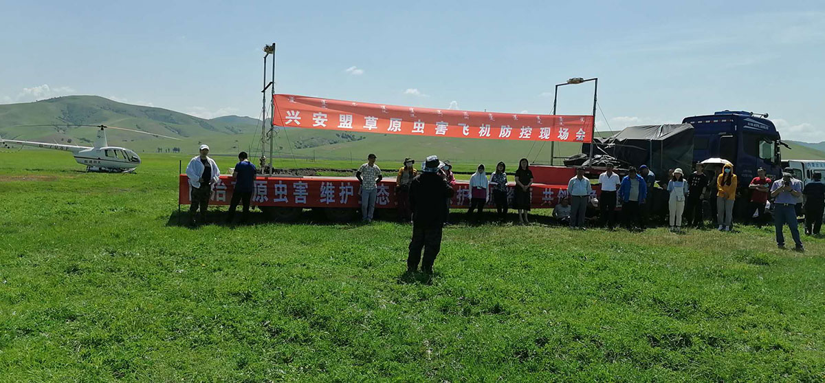 防治蝗蟲