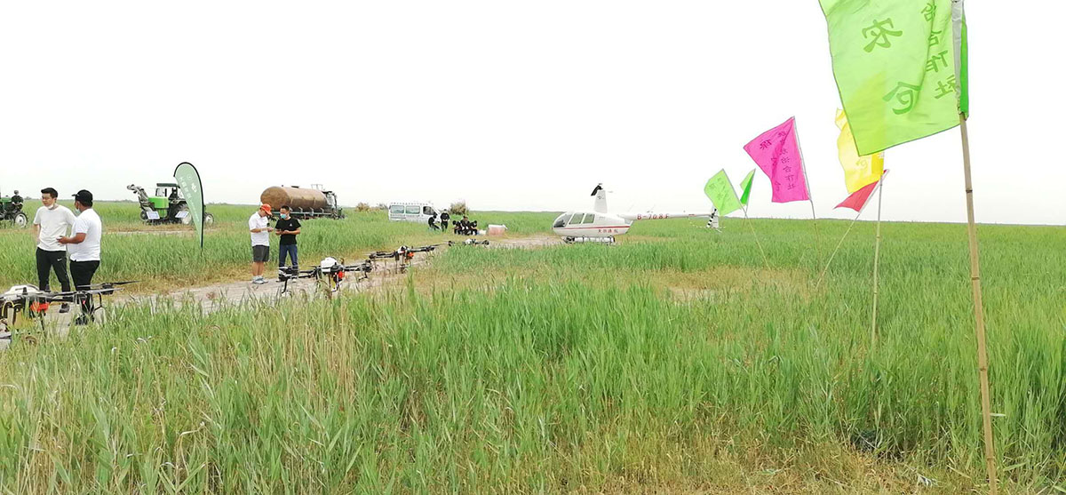 內(nèi)蒙古天羽通用航空有限公司飛機防治蝗蟲