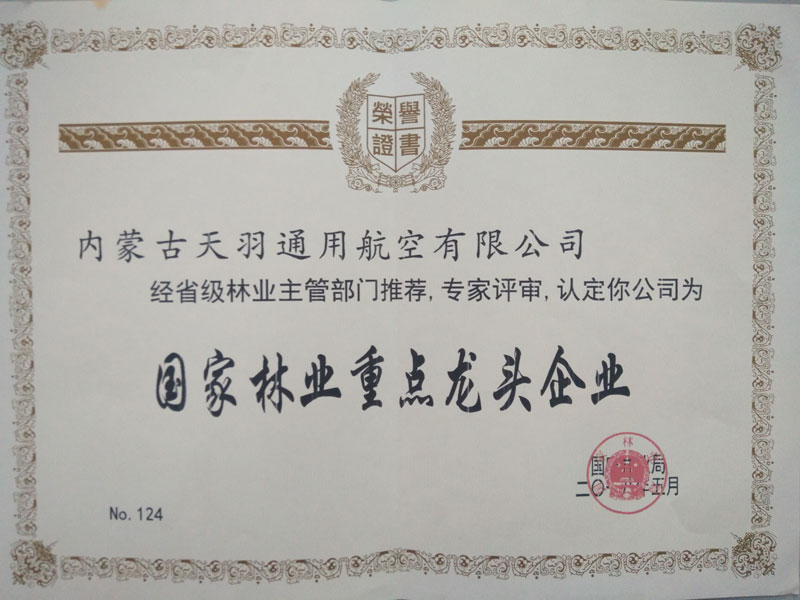 重點龍頭企業(yè)